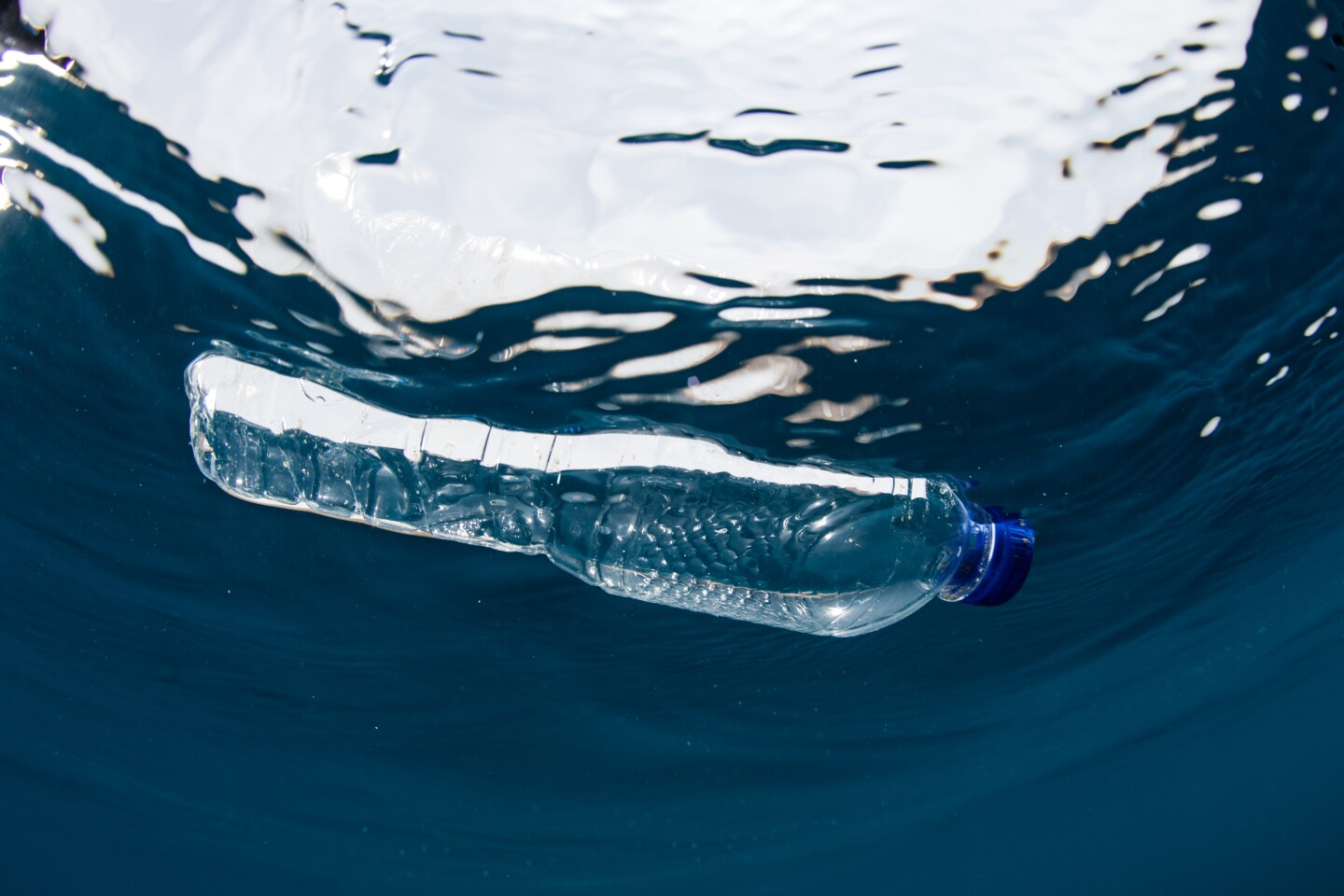 Alarming study finds plastic ocean pollution harms bacteria that