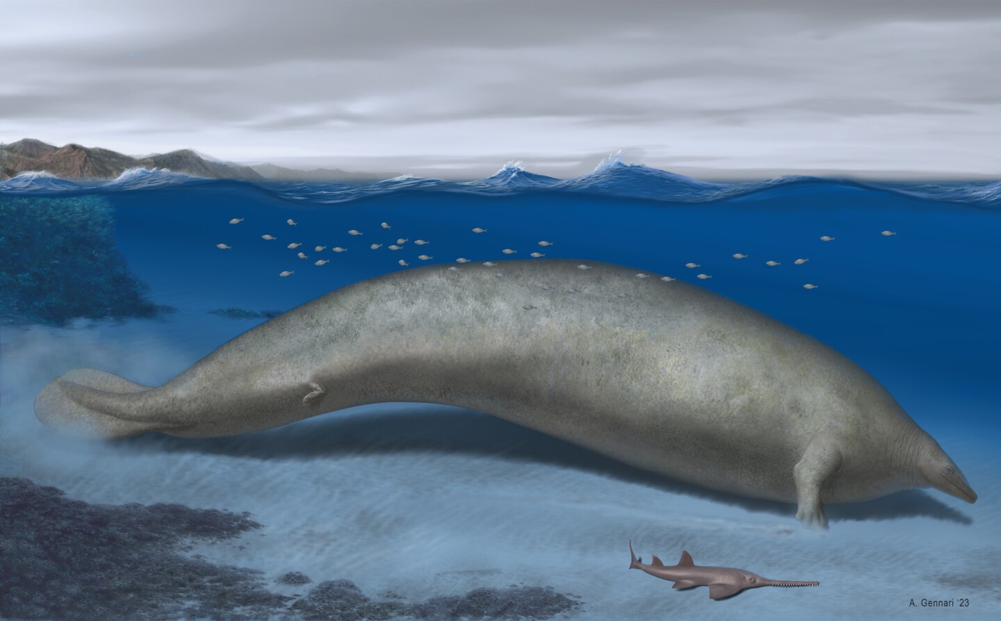 An artist's impression of Perucetus colossus, a newly discovered ancient whale species that may now be the largest animal that ever existed