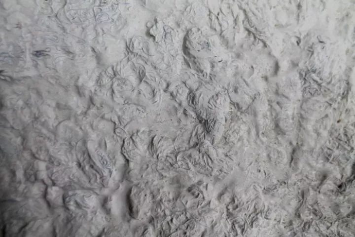 A close-up view of one of the building panels