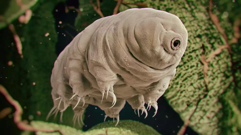 This year, we learned that the tardigrade is one tough customer