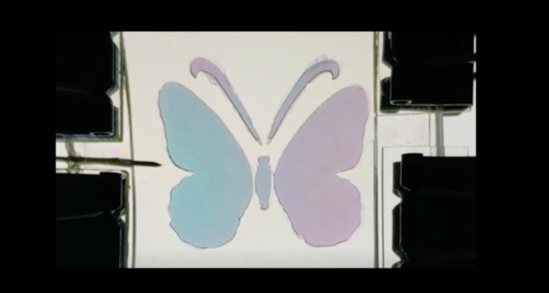 Color-changing film could give robots chameleon-like skin