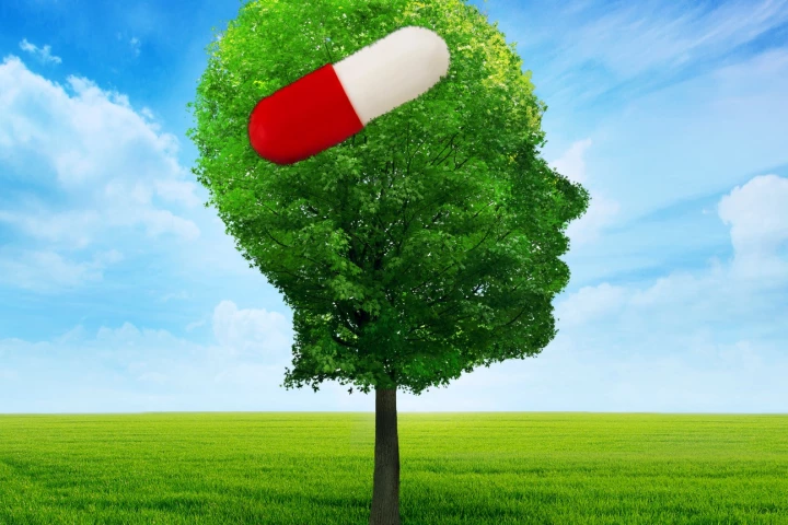 Could we fight Alzheimer's with medication the way we fight high cholesterol? New research offers hope