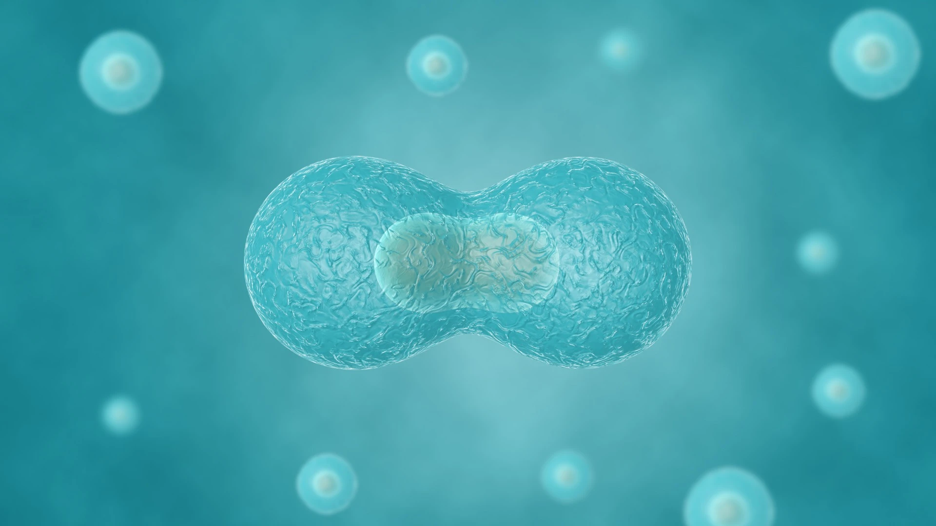 Researchers have managed to recreate cell division outside of a cell