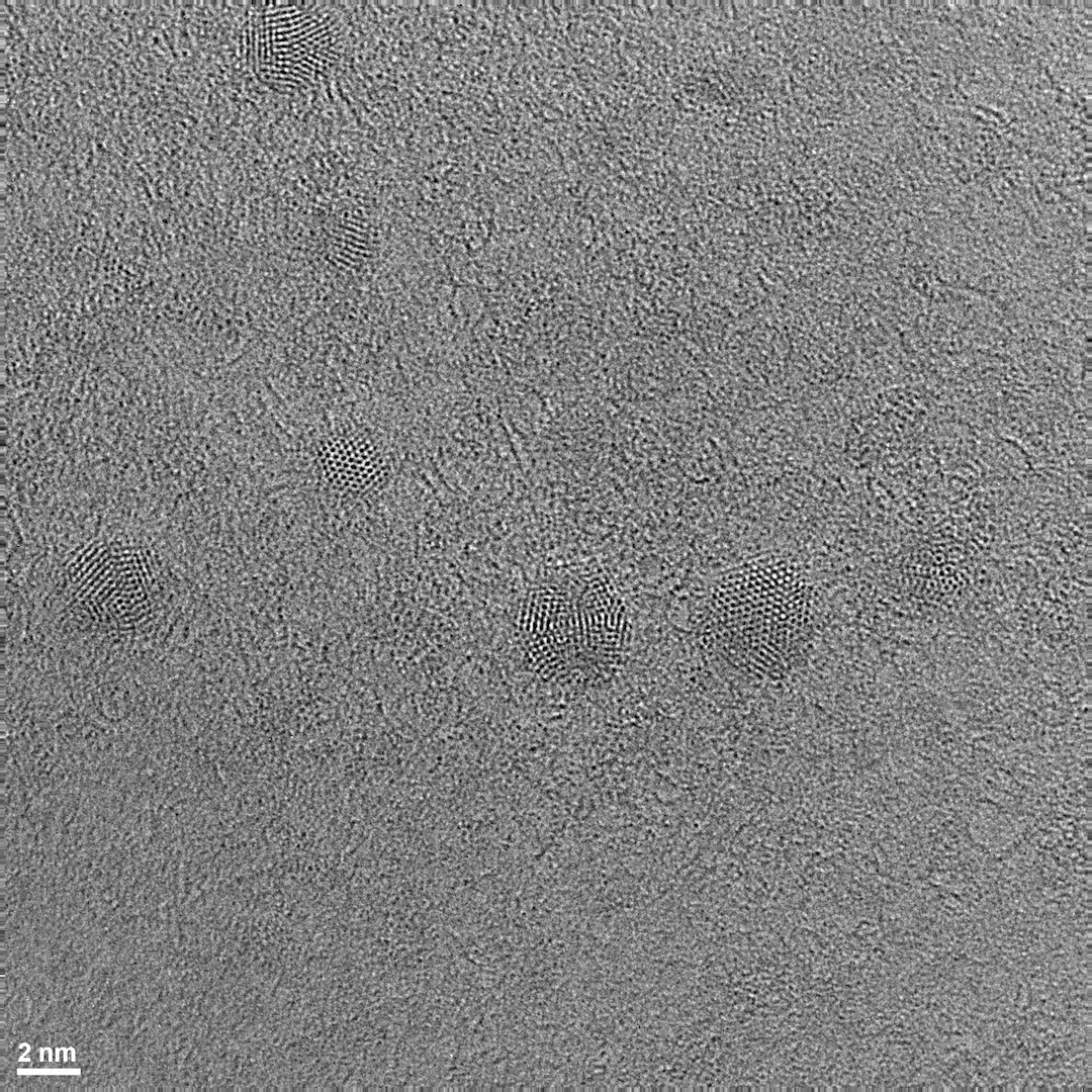 At this scale, the nitrogen-doped graphene quantum dots stand out as circular patches from the substrate supporting them
