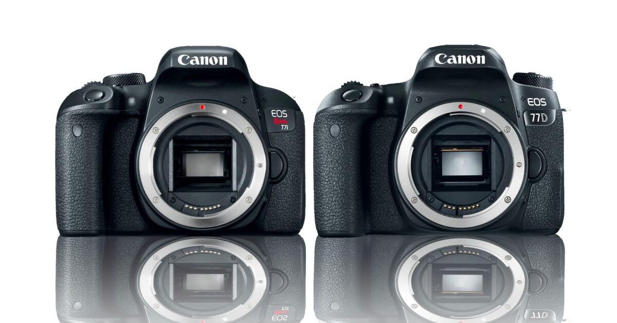 Canon focuses on the midrange with two new DSLRs