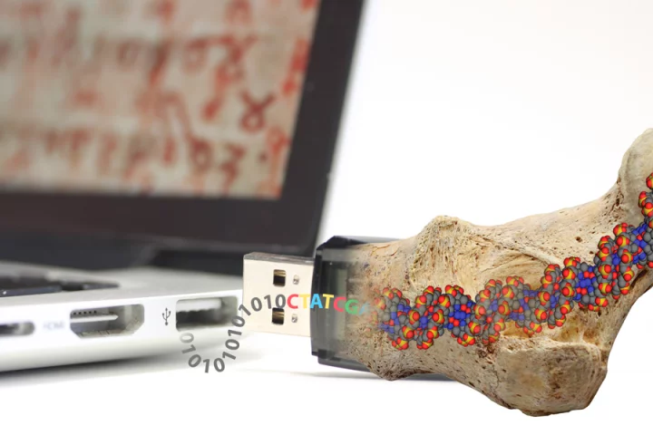 In the search for ways to store data permanently, ETH researchers have been inspired by fossils (Photo: Philipp Stössel/ETH Zurich)