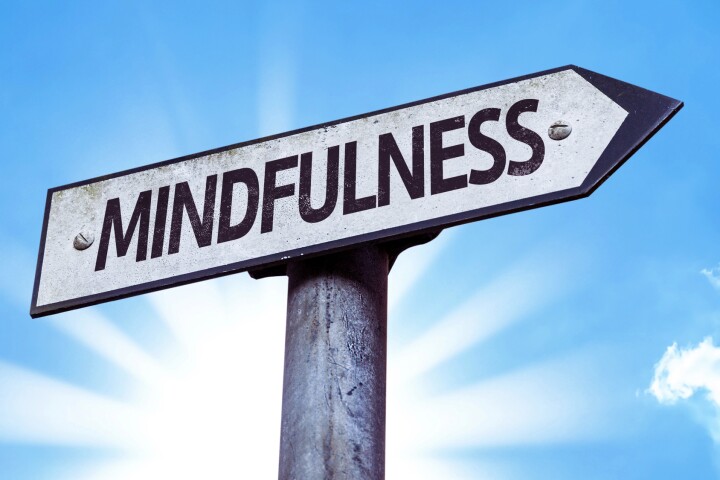 Pain reduction from mindfulness and placebo engage different brain mechanisms