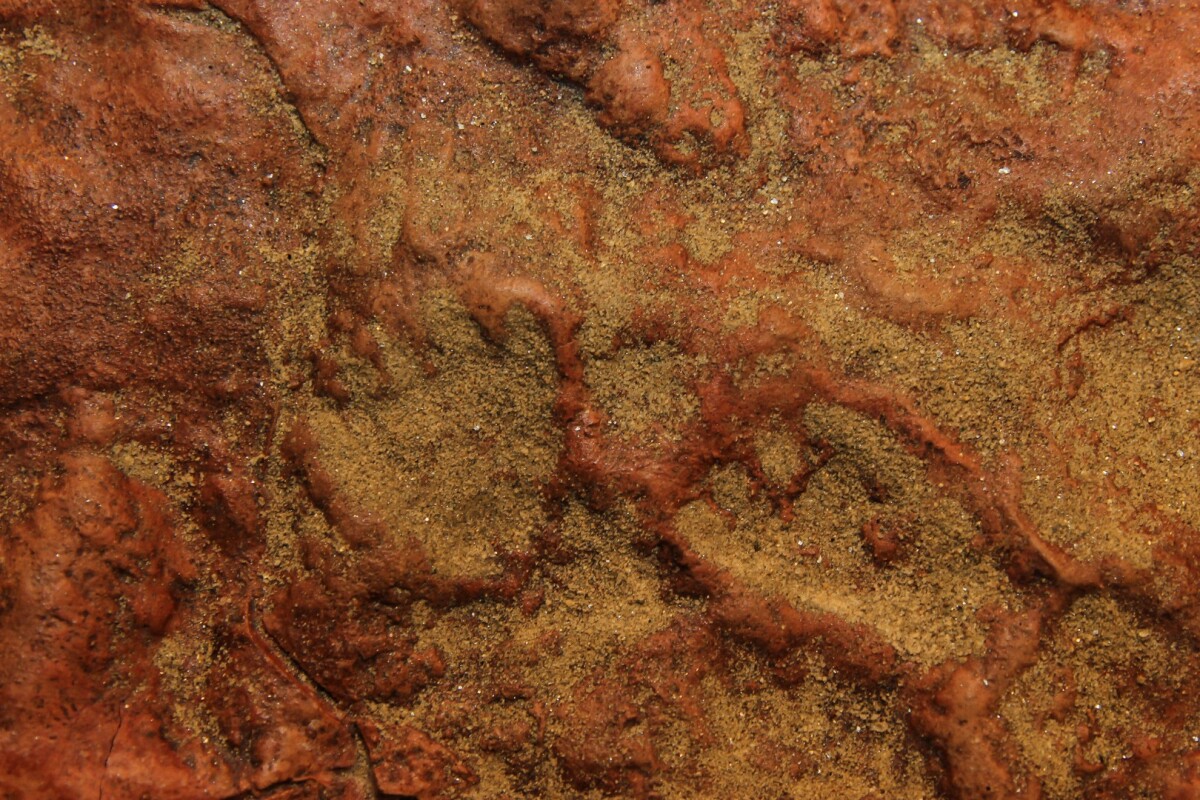Pairs of mammal tracks show evidence that the creatures paused to sit back on their haunches
