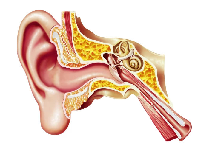 A new earbud-based system can map out the geography inside the ear and detect a range of health conditions