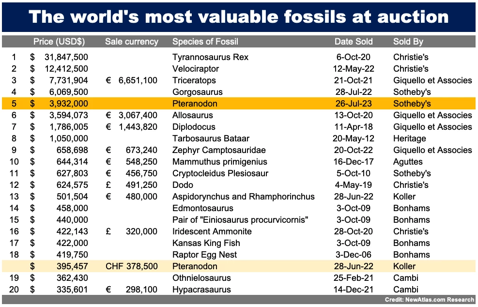 Our listing of the world's most valuable fossils by species almost had two major revisions during Sotheby's today, with a Plesiosaurus bid to $550,000 but failing to meet the reserve price and hence being passed in. With buyers premium that would have been a world record for the species if it had been accepted. The highest bidder usually gets an opportunity to negotiate and given the Zone of Potential Agreement was relatively narrow, a sale may yet be announced. The Pteranodon's previous position and new position in the grand scheme of fossils (though it is primarily a list of scary critters) are noted in orange. Links to prior auctions can be found in the captions in the image gallery for this article.
