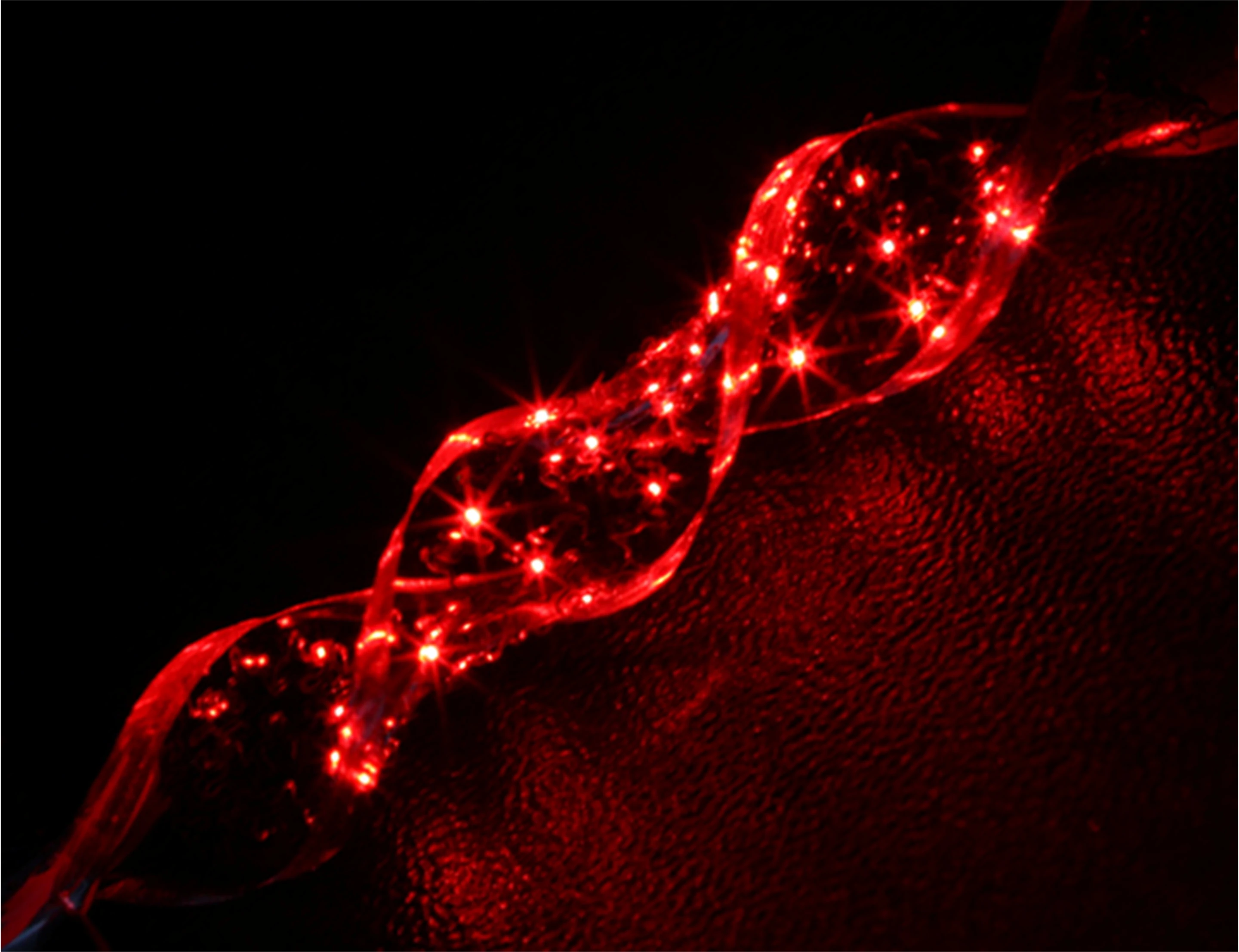 A twisted strand of the LED array