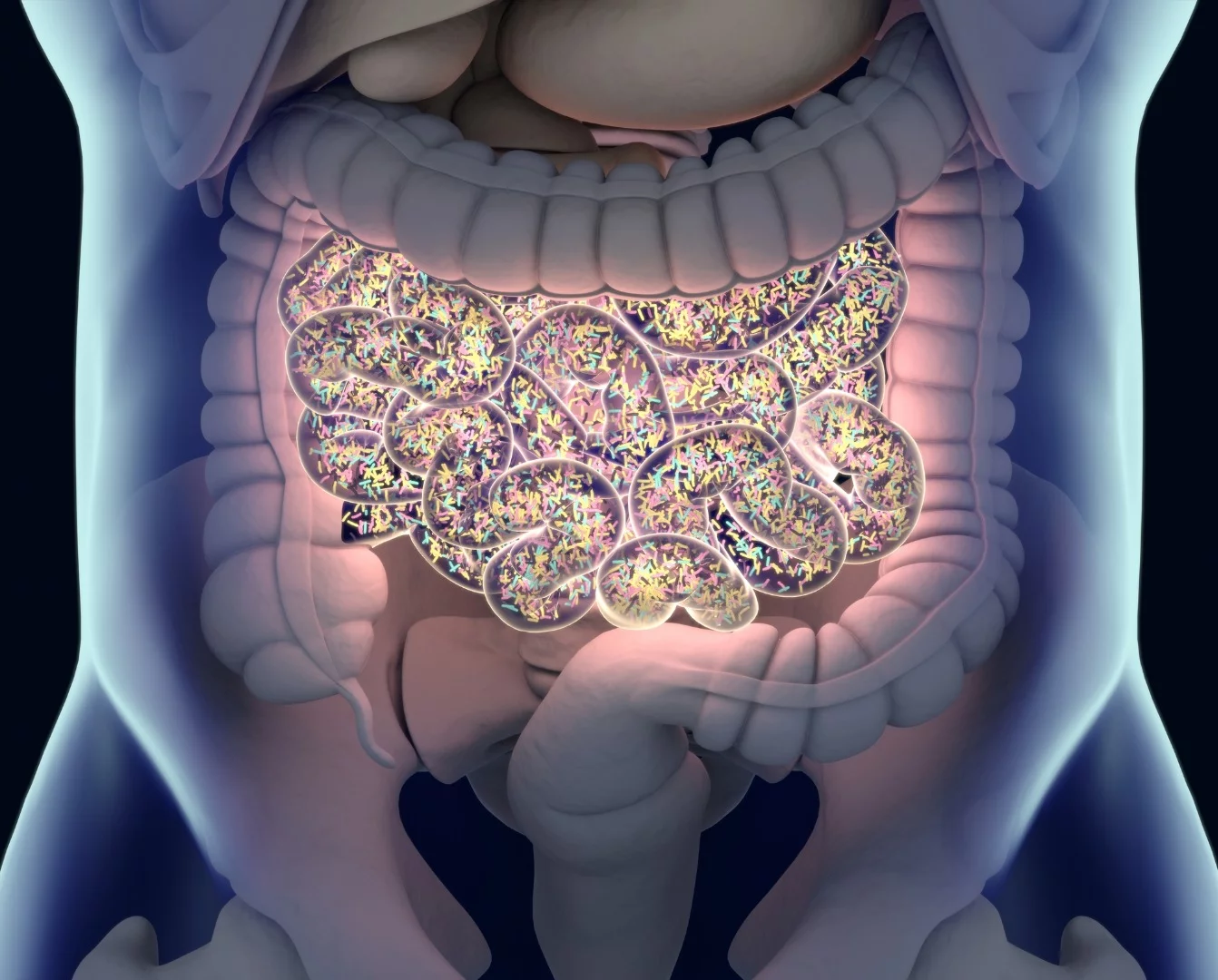 A new study has shown that probiotics can evolve in the gut and potentially turn against the host