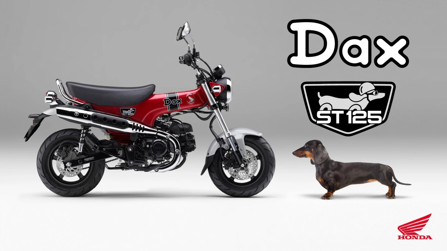 Honda made sure to include a Sausage Dog, officially known as Dachshund, in the press kit material of the 2023 ST125 Dax