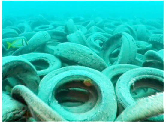 Some 2 million tires were dumped off the coast of Fort Lauderdale, Florida, in the 1970s, in an effort to create an artificial reef. Three decades later, military divers have begun removing them