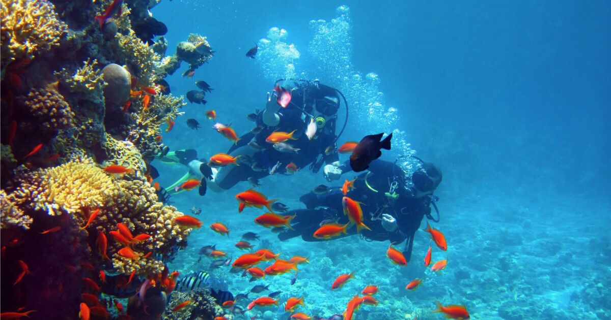 Smart buoys guide divers with electromagnetic signals Smart buoys guide divers with electromagnetic signals