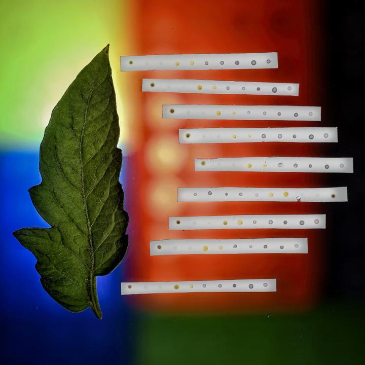 Presently, users have to manually interpret the displayed strip's color pattern, determining which VOCs are present in the chamber, and in what amounts