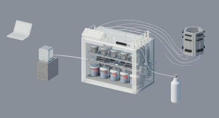 A 3D image of the small intestine model, which the researchers used to test their virus cocktail
