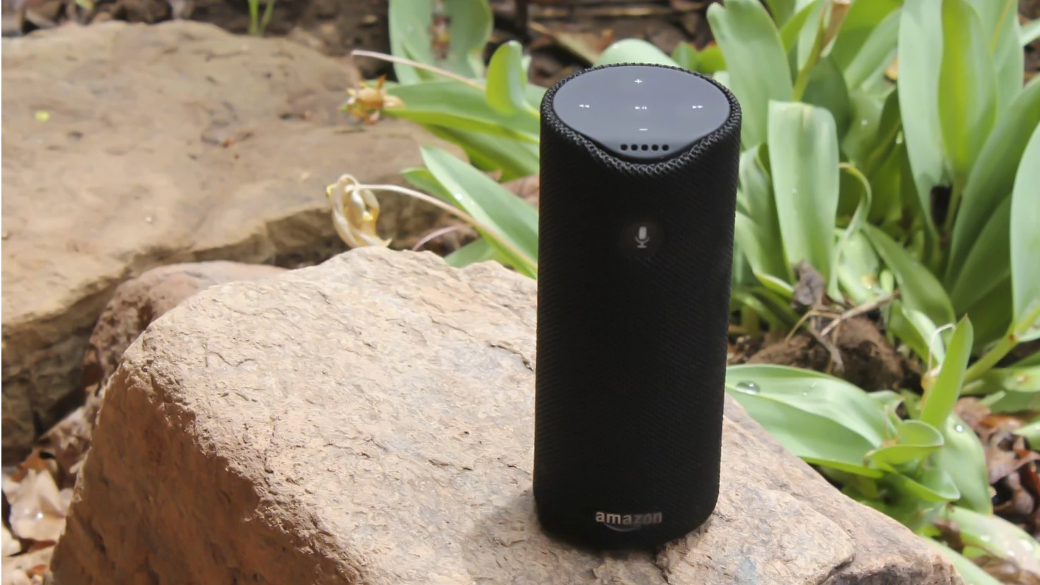 Tap can go anywhere as a Bluetooth speaker but needs to be online for Alexa to work