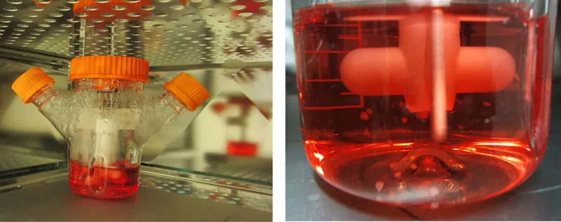 The spinning bioreactor used in the research