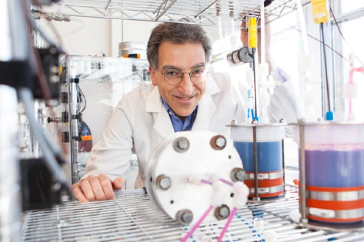 An inexpensive high capacity organic battery has been developed by Professor Michael Aziz at the Harvard School of Engineering and Applied Sciences
