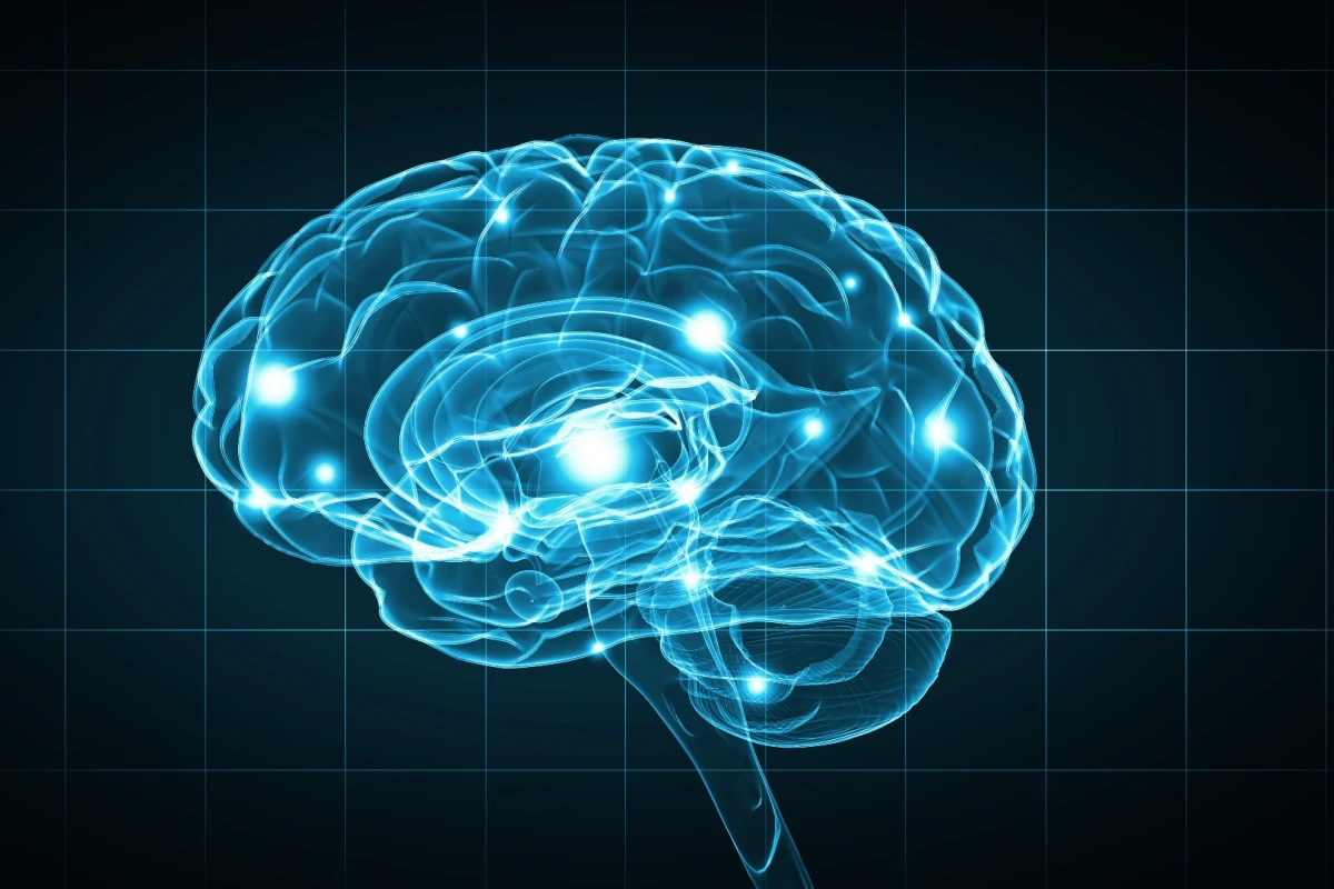 An FDA-approved anticancer drug has improved autism-related behavioral deficits in mouse experiments