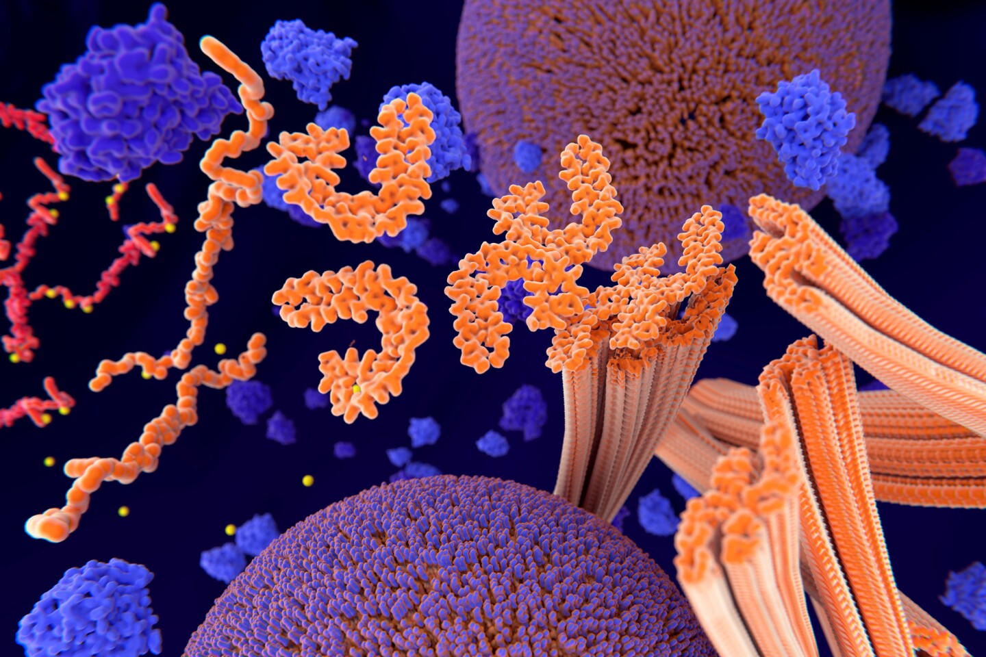 Researchers have used an experimental drug to slow the phosphorylation of tau, which causes it to aggregate into neuron-damaging tangles in Alzheimer's disease
